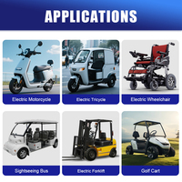 ODM OEM 24V 36V 48V 60V 72V 100Ah 30Ah 50Ah 60Ah 200Ah LiFePO4 6000-Cycle Lithium-Ion Battery Pack for E-bike Scooter Electronic