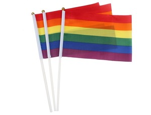 Banderas de Mano Personalizadas al por Mayor, 100% Poliéster, Arcoíris LGBTQ, Orgullo Gay y Lésbico - Product Image 3
