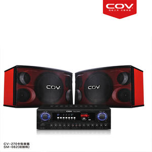 ลำโพงคาราโอเกะ COV ขนาด <span class=keywords><strong>10</strong></span> <span class=keywords><strong>นิ้ว</strong></span> <span class=keywords><strong>ตู้</strong></span>ไม้ กวางโจว - Product Image 6