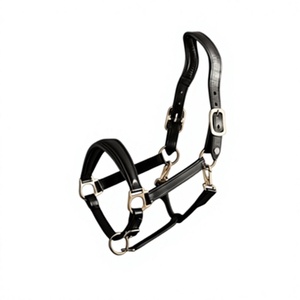 Handmade Leather Horse Browband Padded English Bridle Durable Full Size Custom Packaging <b>Equestrian</b> Tack - Product Image 6
