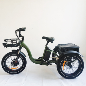 Bicicleta eléctrica de tres ruedas de carga de 20 pulgadas, triciclo eléctrico de tracción delantera, neumático grueso, 3 ruedas, bicicleta de montaña eléctrica de 750W - Product Image 1