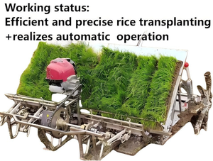 High-Efficiency Gasoline Powered <strong>Rice</strong> <strong>Transplanter</strong> Automatic Seeder Adjustable Features for Paddy Fields Motor Gearbox Core - Product Image 3