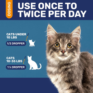 <span class=keywords><strong>Gotas</strong></span> Antibióticas Personalizadas para Mascotas, Fórmula Veterinaria OEM a Granel para Perros y Gatos, Alivio Dirigido a la Infección, Servicio de Marca Privada - Product Image 3
