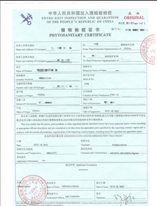 Support pour ordinateur portable MacBook en noyer usiné CNC, équipement industriel, avec services de découpe par électroérosion et de perçage, organisateur de bureau réglable - Product Image 4