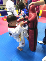 Vente chaude sports martiaux boxe PVC et PU cuir factice pas cher équipement de poinçonnage mma grappin lutte mannequins de boxe
