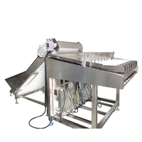 Bosbessen Sorteermachine Lychee Abrikozendata Blueberry Lineaire Weegverpakkingsmachine Lijn