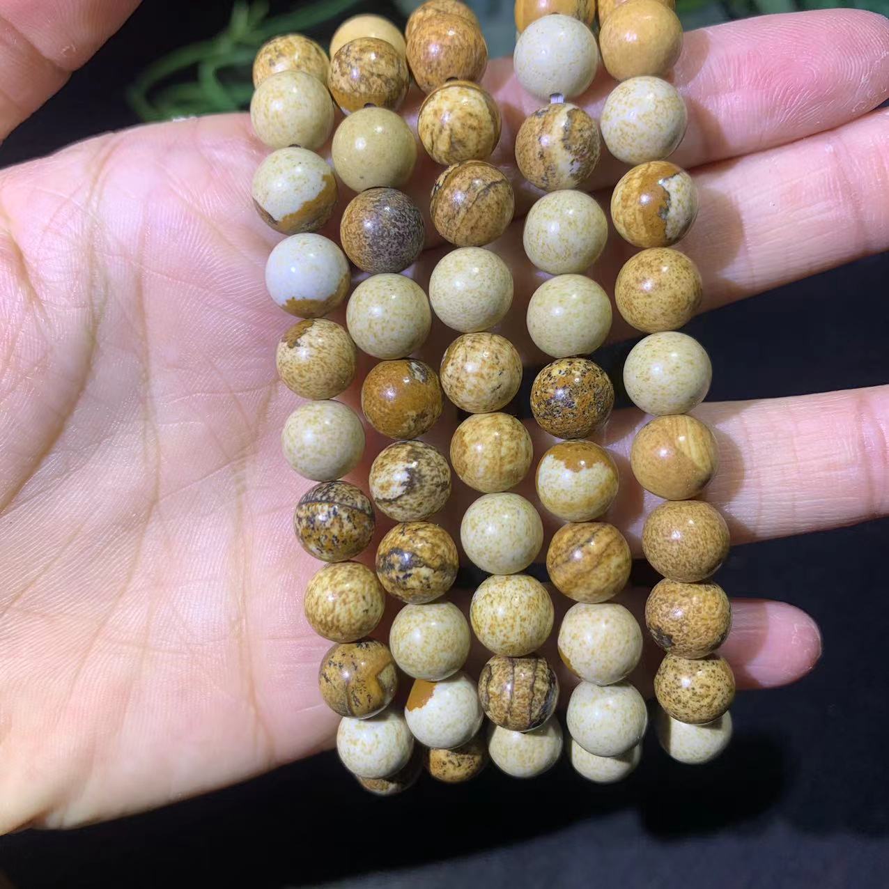 corail fossile