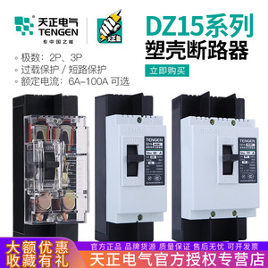 Disjoncteur à boîtier moulé Tengen Dz15 63A 100A 3P 380V, thermique et magnétique, en plastique - Product Image 5