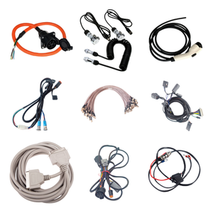 工厂定制汽车燃油喷射系统线束发动机线束定制卡车拖车电源线组件用于电动汽车 - Product Image 1