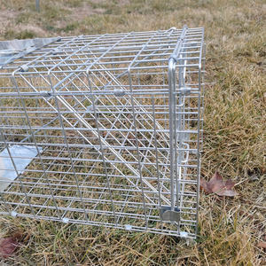 Piège pliable de la série originale pour ratons laveurs/mouffettes/marmottes/armadillos - Product Image 4