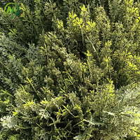 Nouveau style d'arbres artificiels en cyprès italien, fausse pinède et cyprès à faible entretien pour la décoration extérieure résidentielle et urbaine