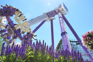 Giostra a 180 Gradi di Alta Qualità per Parchi Divertimento, in Fibra di Vetro e Acciaio, Capacità 100-500kg, in Vendita - Product Image 2