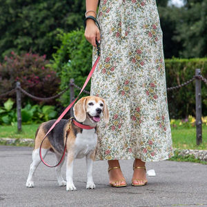 Correa de Perro Vegana/PU de Primera Calidad, Personalizable, al por Mayor, Correa de Perro Larga y Lujosa de Cuero con Accesorios Metálicos - Product Image 4