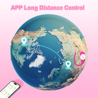 Vibrateur APP pour l'amour de la partenaire, jouets sexuels en silicone rechargeables, vibrateur APP point G, stimulateur vaginal clitoridien pour femmes, fournisseur