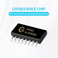 Puce vocale CH7003 de haute qualité, programmable, port série UART, montage personnalisé, sortie numérique, entrée CC pour composants acoustiques