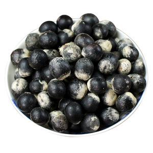 Bodhi Seed Beads Raw Undrilled Round 500g For Prayer Beads Crafting Hangzhou Origin Spring 2025 Polished Scattered Beads - Product Image 4