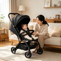 Poussette version basique avec roues EVA et tissu noir, design moderne, haute visibilité pour une meilleure lisibilité, optimisation pour les moteurs de recherche