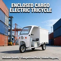 Tricycle fermé à essence Dongdao personnalisable de plus de 800 W pour la logistique rurale et la livraison de colis à domicile