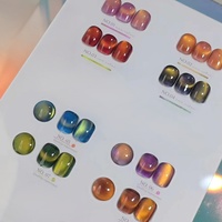 Kit de vernis gel œil de chat marron automne avec nuancier, sans HEMA/TPO, gel magnétique de luxe, vernis à ongles UV LED soak-off, kit gel UV