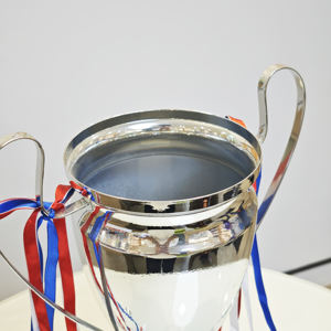 Usine personnalisé trophée <span class=keywords><strong>coupe</strong></span> prix grand Double vente en gros école tasse personnalisé or bol TopSize Sports Awards métal trophée - Product Image 1