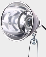 Lampe à pince pour reptiles dôme de 5.5 "/lampe de couveuse pour animaux de compagnie Terrarium Safety Gear Core Component