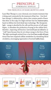 Offre Spéciale : Appareil 5-en-1 Haute Fréquence pour la Croissance Capillaire, Massage du Cuir Chevelu, Analyse des Follicules et Scanner Capillaire - Product Image 3