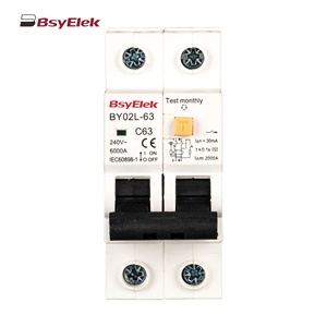 Выключатель остаточного тока IEC CE DZ40LE 240V 400V 3A 1P + <span class=keywords><strong>N</strong></span> <span class=keywords><strong>2P</strong></span> 63A RCBO с защитой от перегрузки по току - Product Image 3