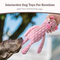 Jouet à mâcher interactif pour chien, en peluche sans rembourrage, avec son, froissé, pour la dentition des chiots, motifs raton laveur, hippopotame, singe, vente en gros