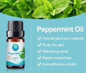 Factory Wholesale Free Sample Peppermint Oil Bulk Private Label Pure Natural Top Grade Organic Peppermint Oil For Hair Growth
