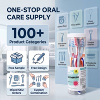 Cepillos de Dientes de Cerdas Suaves Personalizados al por Mayor, Marca Privada, Cepillo Limpiador Dental para Adultos, Fabricante Mayorista
