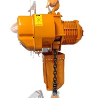 Palans électriques à chaîne monophasés 220V/380V, 1 tonne, 2 tonnes, 3 tonnes, télécommandés, pour le levage de marchandises en entrepôt