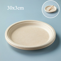 Assiettes en papier jetables biodégradables réutilisables, blanches, résistantes, grande taille, pour barbecue, fête, service de gâteaux, biscuits, 30 cm