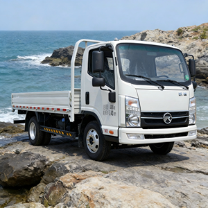 Nuevo Camión de Reparto Ligero KAMA M11D, Motor Diésel de 2.3L, Carga Útil de 2.5T, Euro 4, Camión de Carga con Media Cabina en Venta - Product Image 1