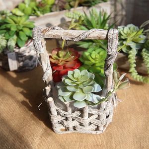 2024 Planta Natural <span class=keywords><strong>Echeveria</strong></span> Lenore Dean Artificial Interior Suculenta - Product Image 6