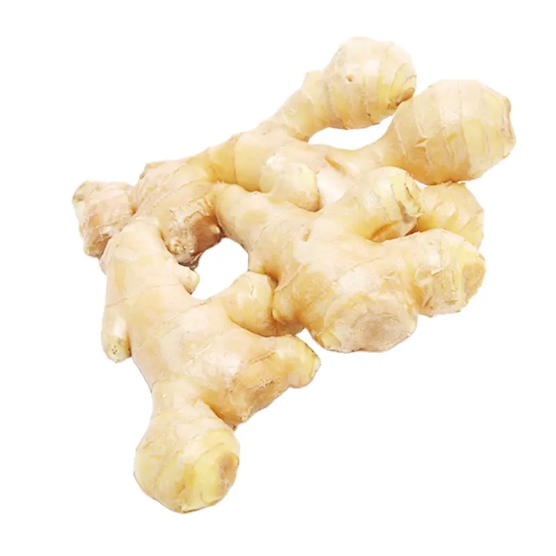 China High Quality Dry Ginger Frischer Ingwer Zum Verkauf