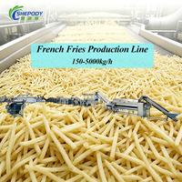 Ligne de production industrielle de snacks Shepody 100kg 300kg 500kg 1000kg 200kg 3000kg Ligne complète de production de frites surgelées