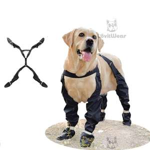 베스트 셀러 모던 사계절 개 신발 솔리드 조절 가능한 탄성 스트랩 야외 먼지 방지 내마모성 친환경 애완 동물 - Product Image 1