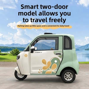 Triciclo Eléctrico Totalmente Cerrado <span class=keywords><strong>para</strong></span> Uso Doméstico, Scooter de Movilidad Pequeño <span class=keywords><strong>para</strong></span> Mujeres, Cámara de Reversa, Motor de Subida, Gran Espacio - Product Image 3