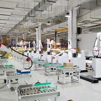 Machine de palettisation à ventouse de 30 kg pour boîtes en carton et chargement de palettes pour travaux de levage industriels lourds et multifonctionnels