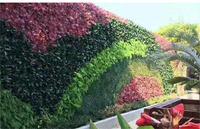 Panneau mural végétal artificiel ignifuge de classe B pour la décoration intérieure de bureaux, maisons et balcons