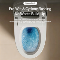 Toilette intelligente de luxe avec télécommande, siège à fermeture douce automatique, chauffage du siège, drainage en S, cuvette ronde monobloc