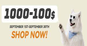 FishPrincess Maßgeschneiderter Neu eingetroffener Outdoor-Regenmantel mit Kapuze für Hunde, Vierbeiniger Regenmantel für Haustier-Welpen - Product Image 6