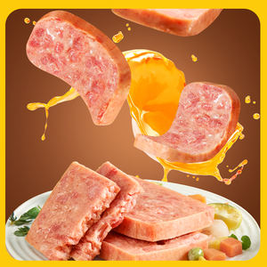 Carne in scatola Premium 340G di carne in scatola di alta qualità perfetta per panini colazione campeggio e forniture di emergenza vendita calda - Product Image 6