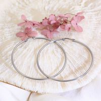 Boucles d'oreilles en acier inoxydable pour femmes, bijoux simples, or, argent, arc-en-ciel, grand cercle, nouvelle collection 2021