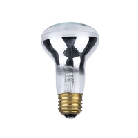 Lampe chauffante infrarouge en verre PKY 100W/175W/250W/375W à intensité variable pour poulaillers et élevages de porcs, température de couleur 1000-2400K, garantie 1 an