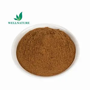 Hot Selling Tannin Powder Galla Chinensis Extract 10:1 Gallnut Extract