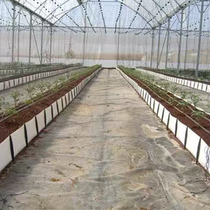Greenhouse Use PP Soilless Cultivation Growing <strong>Trough</strong> for <strong>Vegetables</strong> Roses Cut Flowers Agriculture - Product Image 6