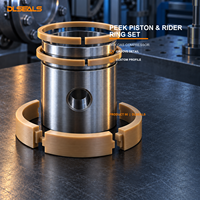 Kit de piston et de segments de compresseur PEEK pour compresseur de gaz sec, taille personnalisée, fourniture d'usine OEM Dlseals