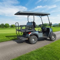 Voiturette de golf électrique 3-4 places à forte capacité de montée, buggy routier, contrôleur intelligent, vitesse 30-50 km/h, autonomie 90 km, pente de 25 degrés