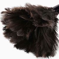 Plumeau télescopique en plumes d'autruche, noir et gris, pour le nettoyage des ordinateurs et de la maison, meilleure qualité, marque OEM